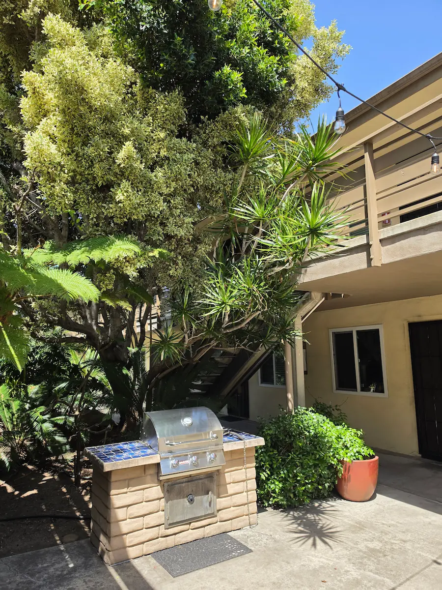 Built-in gas BBQ grill in the courtyard with mature trees and string lights
