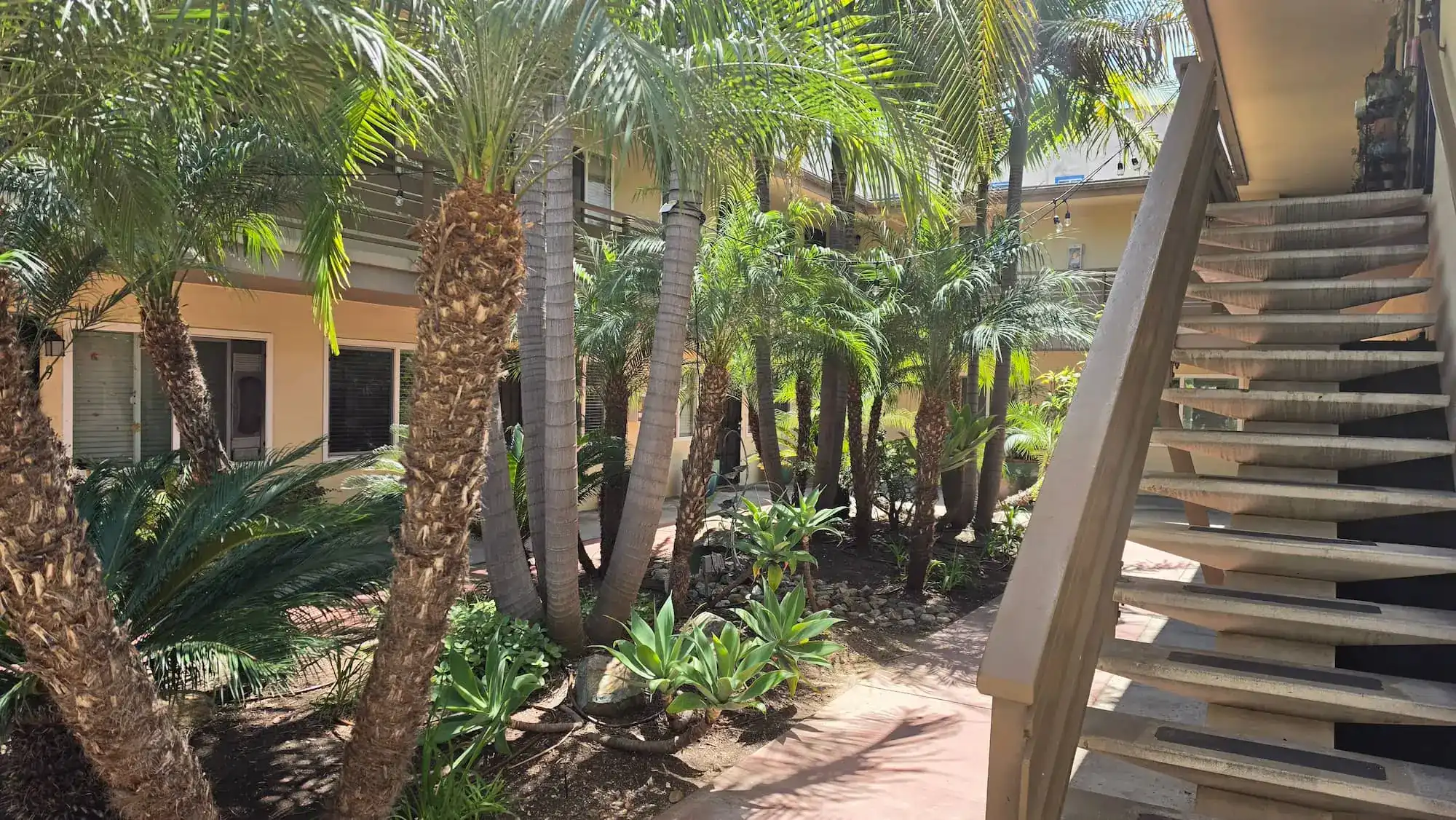 Lush courtyard at Hillcrest Place with palm trees and tropical landscaping
