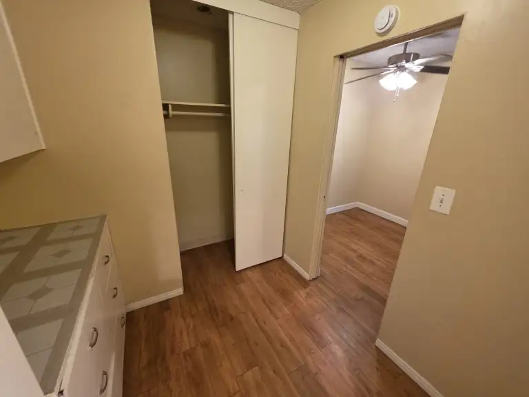 Hall storage area to dining