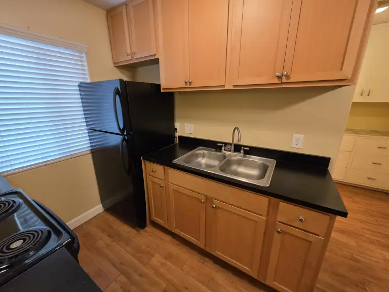 Kitchen fridge sink