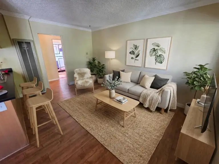 One bedroom living room furnished (virtually staged)