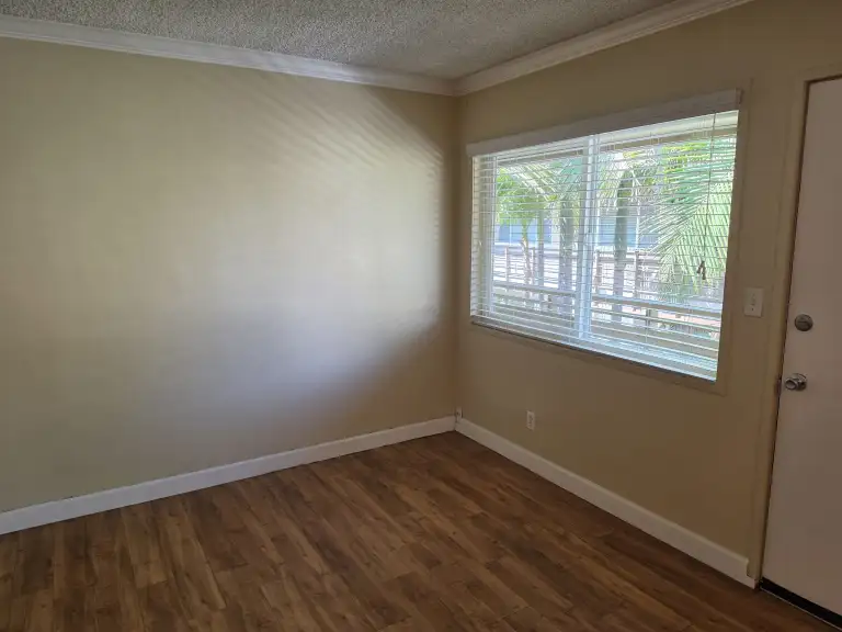 One bedroom living room window area