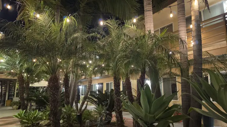 Hillcrest Place courtyard lights at night